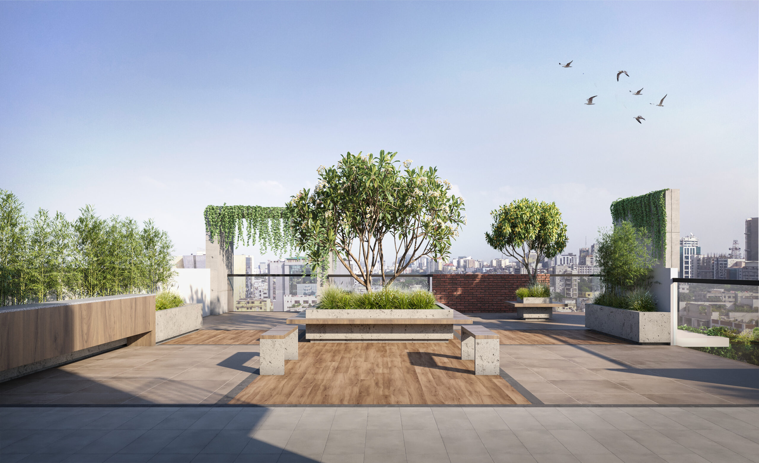 Starpath Holdings Ltd project Rooftop